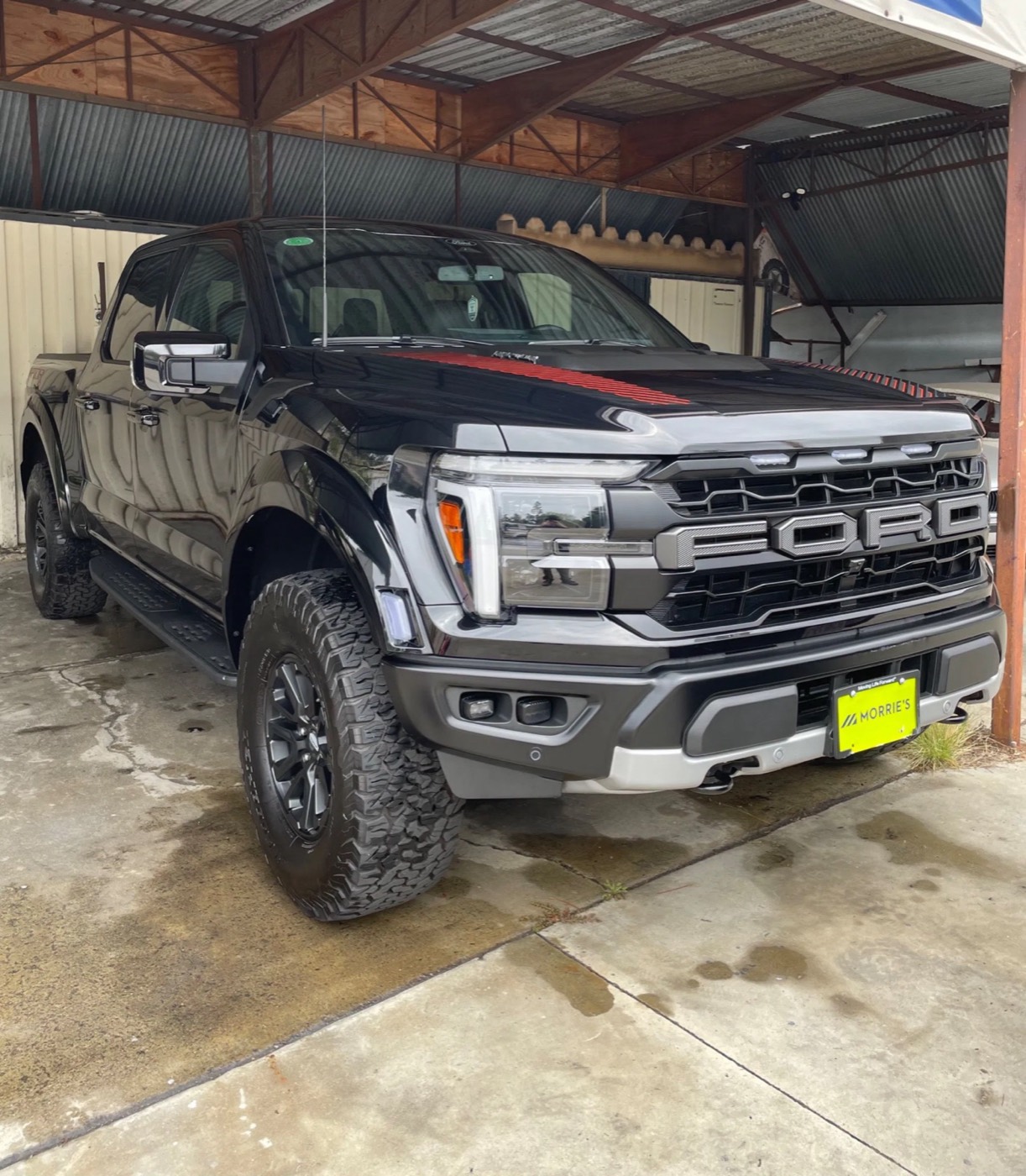 Ford F-150 Raptor after an exterior detail